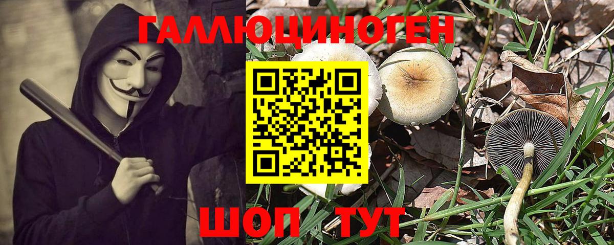 Псилоцибиновые грибы мицелий Нерюнгри