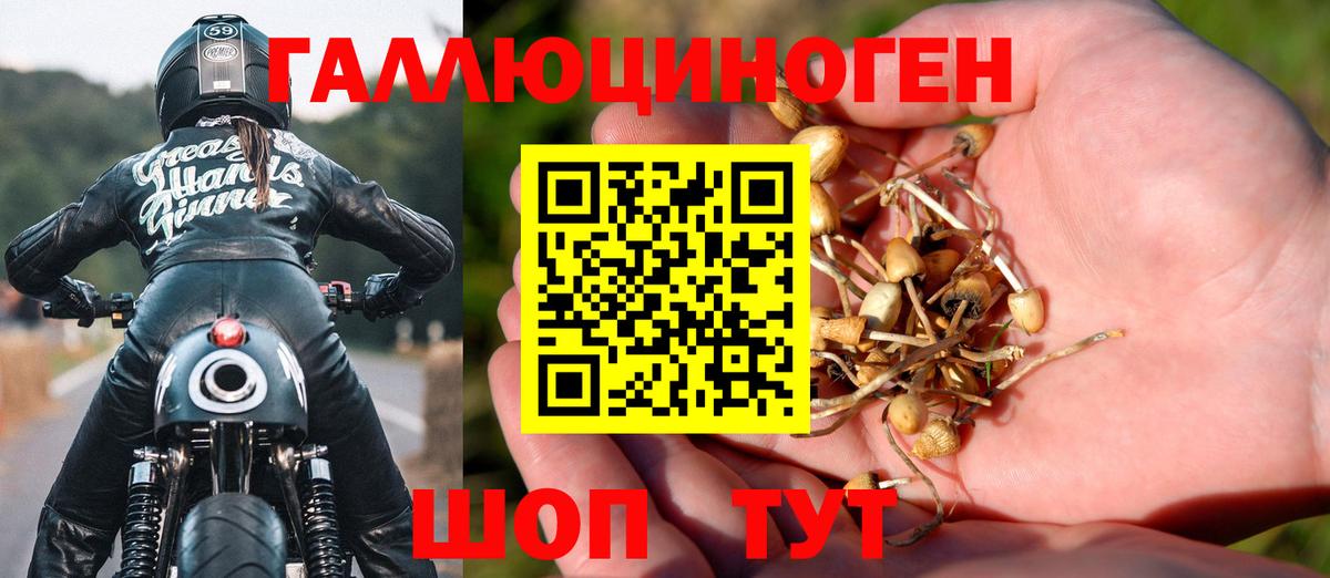 Нерюнгри  Галлюциногенные грибы GOLDEN TEACHER  Вход с VPN  как найти закладки  Галлюциногенные грибы Psilocybe 